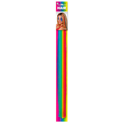 Gay Pride Rainbow Hair Extension (38cm)