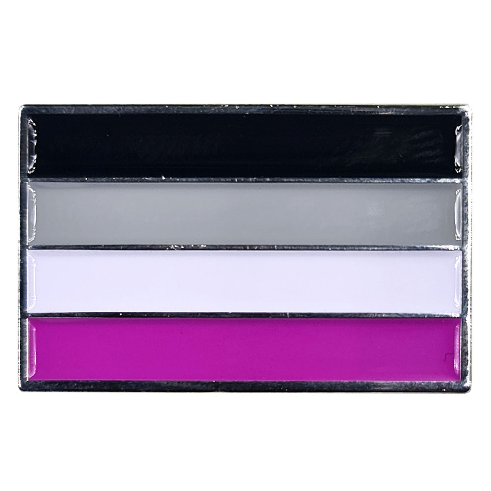 Asexual Pride Flag Silver Metal Rectangle Lapel Pin Badge