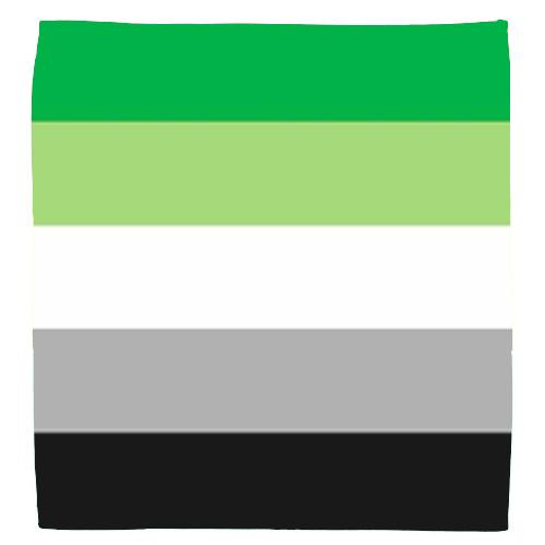 Aromantic Pride Flag Bandana