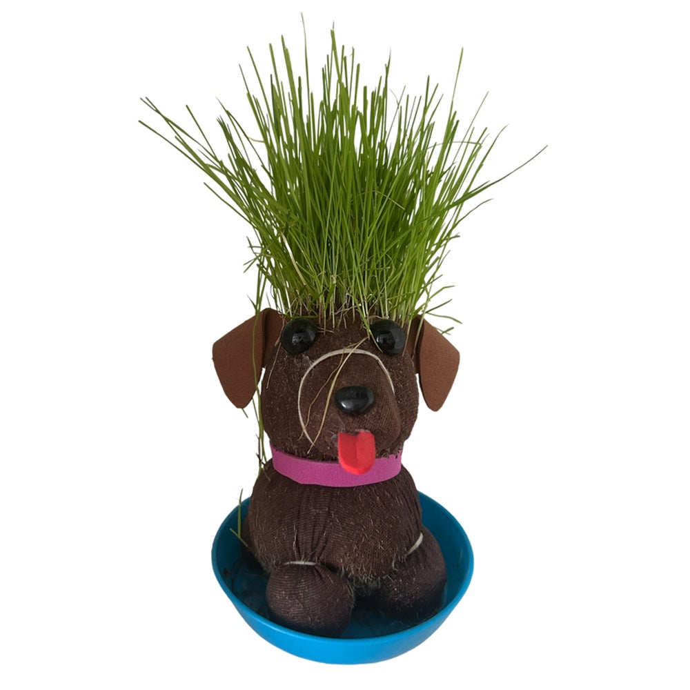 Grow Your Own Hairy B*tch