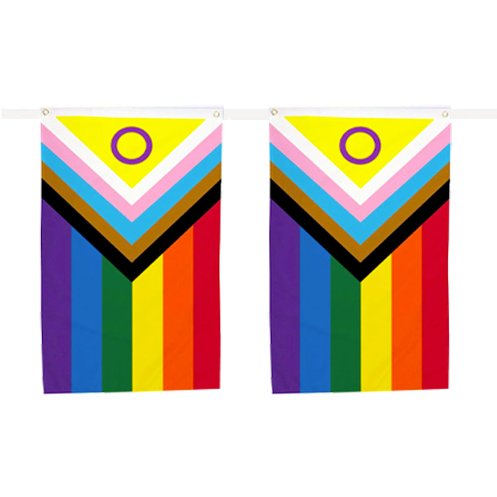 Intersex Progress Pride Rainbow Flag Bunting Small (3m x 10 Flags)