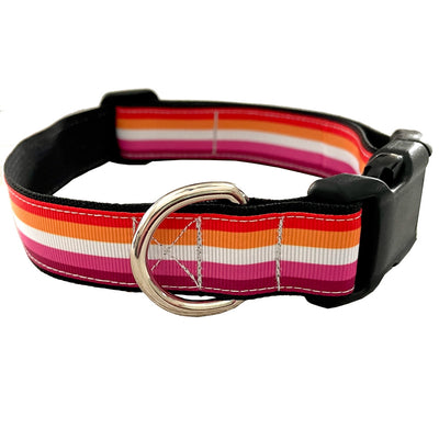 Lesbian Dog Collar