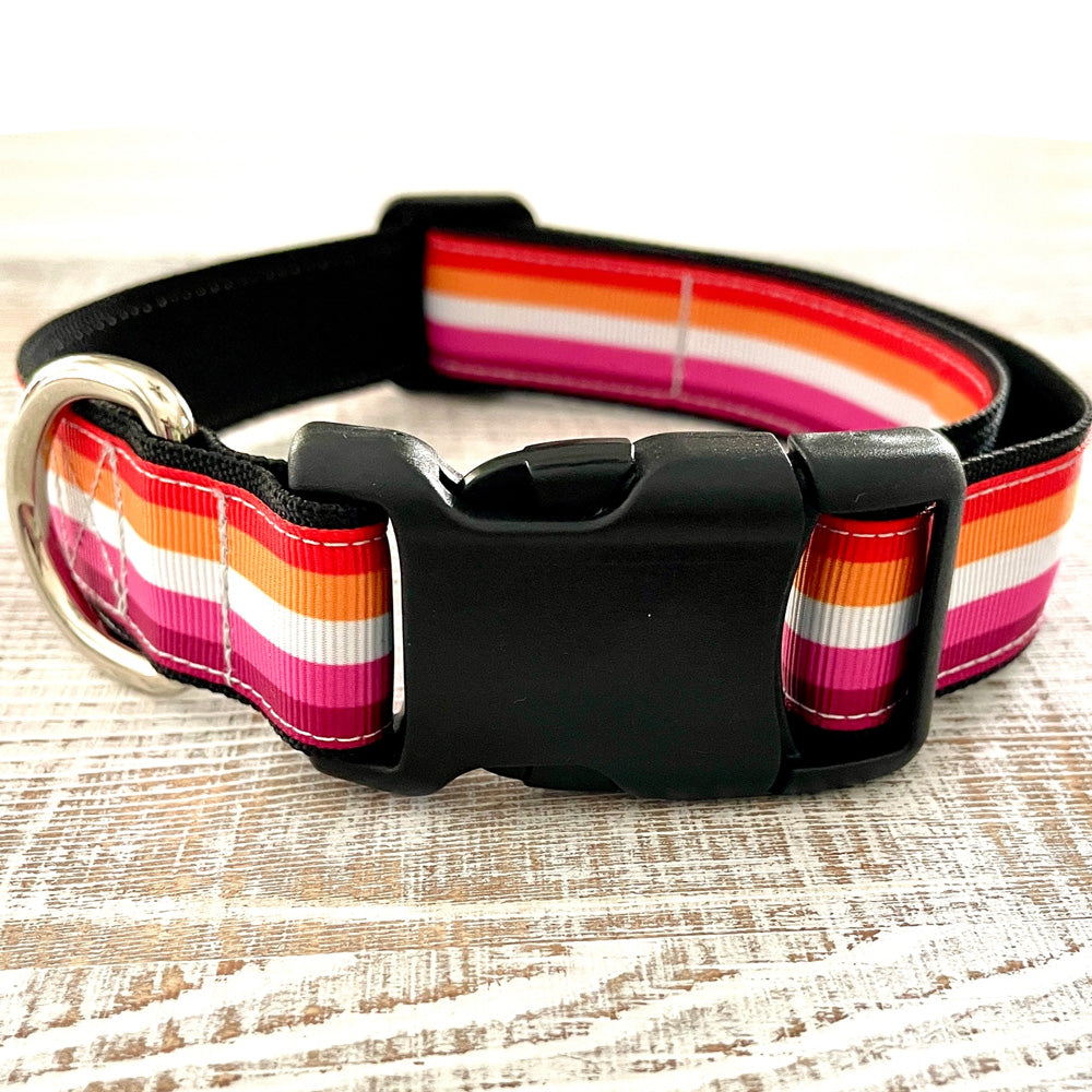 Lesbian Dog Collar