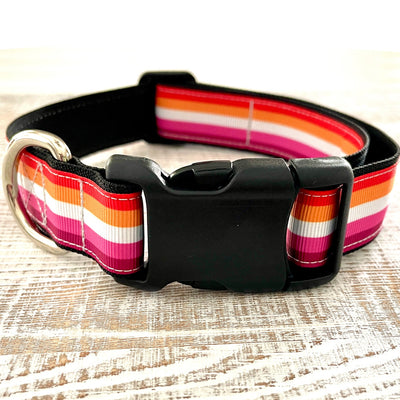 Lesbian Dog Collar