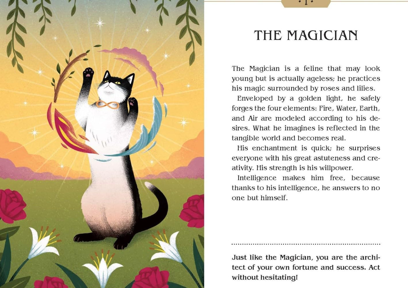 Magic Cats Tarot Cards