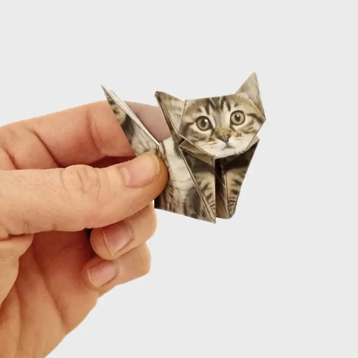 Origami Kit - Paper Cats