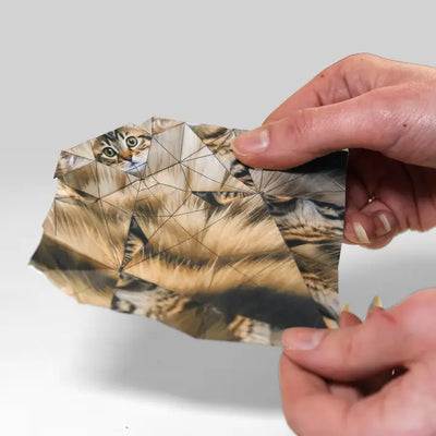 Origami Kit - Paper Cats