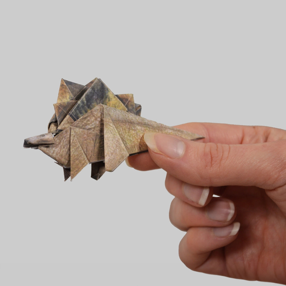 Origami Kit - Paper Dinos