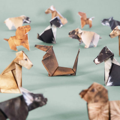 Origami Kit - Paper Pups