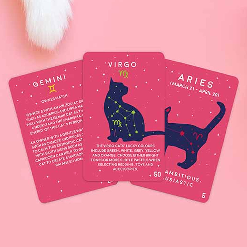 Paw-mistry Cat Cards