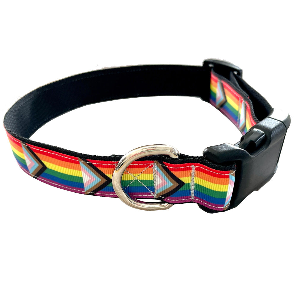 Progress Pride Dog Collar