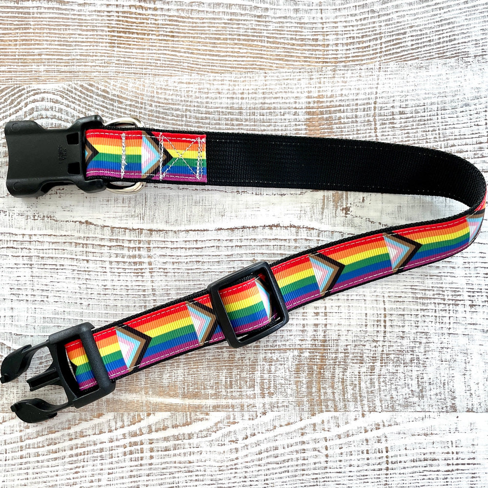 Progress Pride Dog Collar