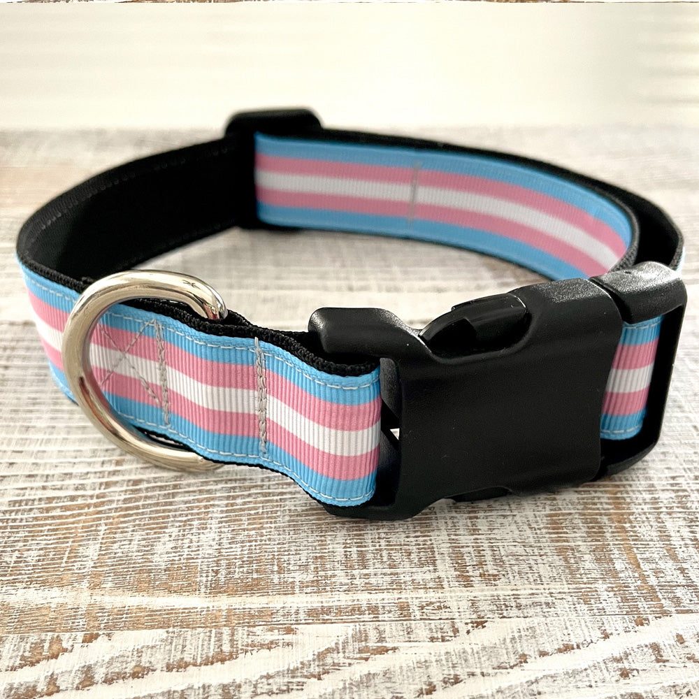 Transgender Dog Collar