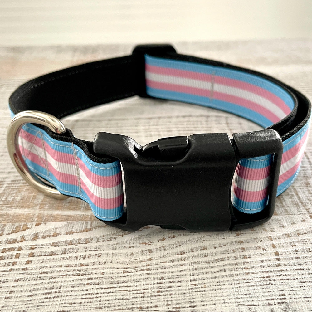 Transgender Dog Collar