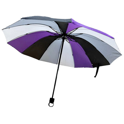 Asexual Flag Colours Folding Umbrella