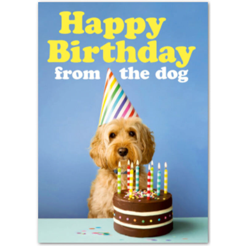 Happy Birthday from the Dog - Birthday Card – www.gayprideshop.co.uk