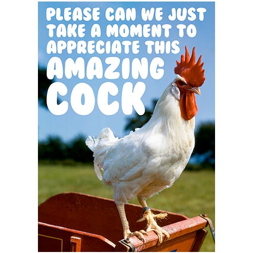 Appreciate This Amazing Cock - Birthday Card