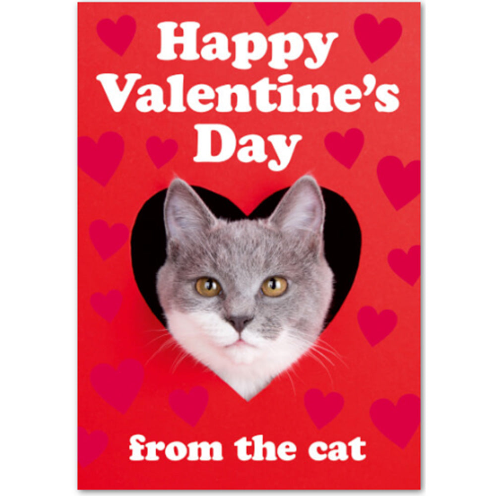 Happy Valentine's Day from the Cat - Valentines Card