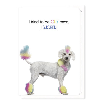 I Tried To Be Gay Once, I Sucked - Gay Greetings Card