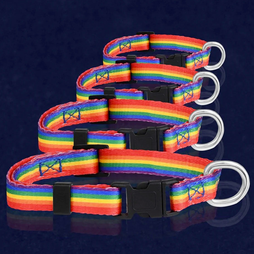 Pride dog collar hotsell