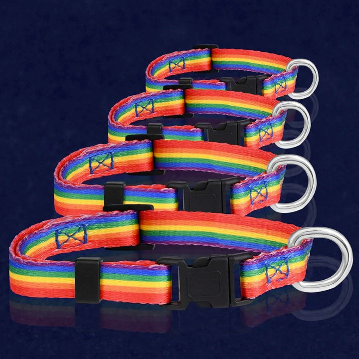 Gay Pride Rainbow Pet Cat or Dog Collar 4 Sizes www.gayprideshop