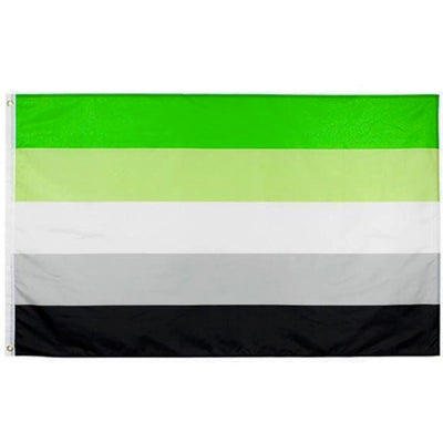 Aromantic Pride Flag - (5ft x 3ft Premium)