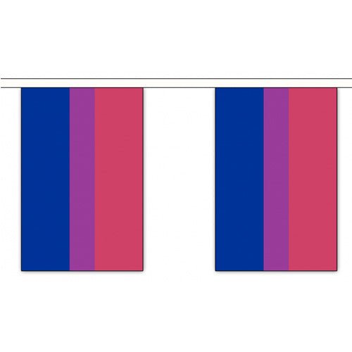 Bisexual Pride Rainbow Flag Bunting Large (9m x 30 Large Flags)