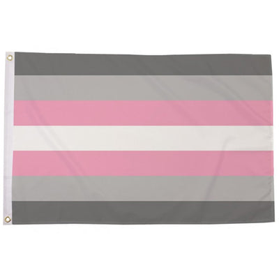 Demigirl Pride Flag (5ft x 3ft Premium)
