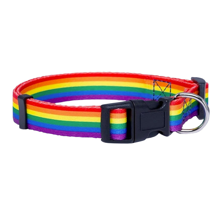 Gay Pride Rainbow Pet Cat or Dog Collar 4 Sizes www.gayprideshop