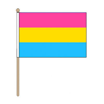 Pansexual Pride Hand Held Flag (22.5cm x 15cm)