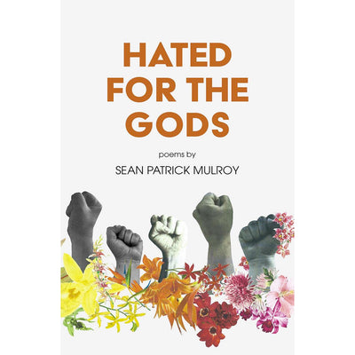 Hated For The Gods Book Sean Patrick Mulroy