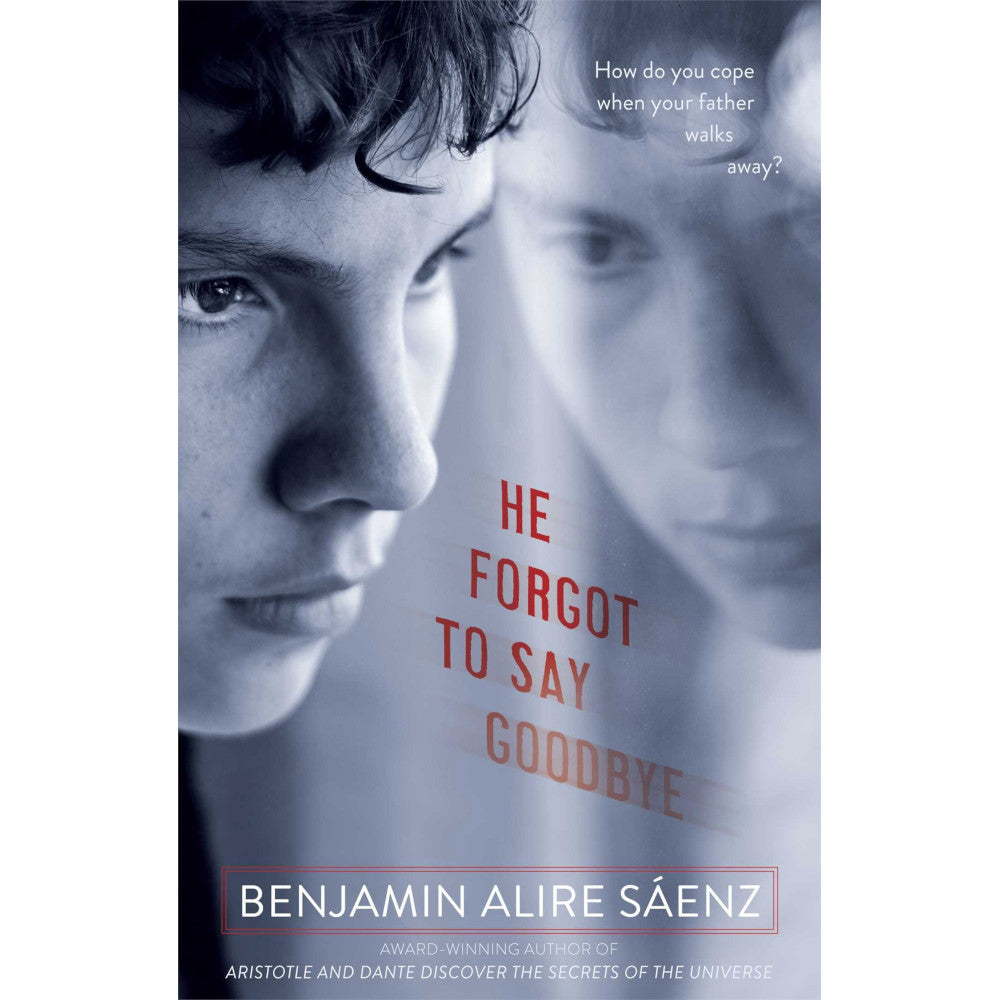 He Forgot to Say Goodbye Book