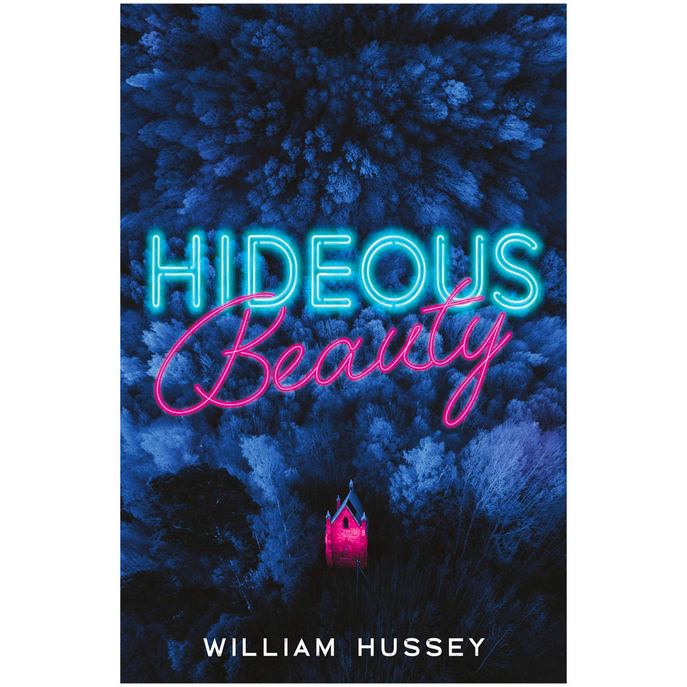 Hideous Beauty Book