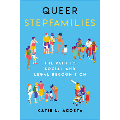 Queer Stepfamilies - The Path to Social and Legal Recognition Book