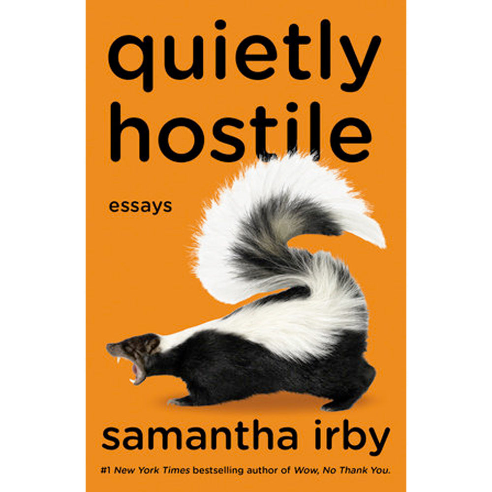 Quietly Hostile - Essays Book