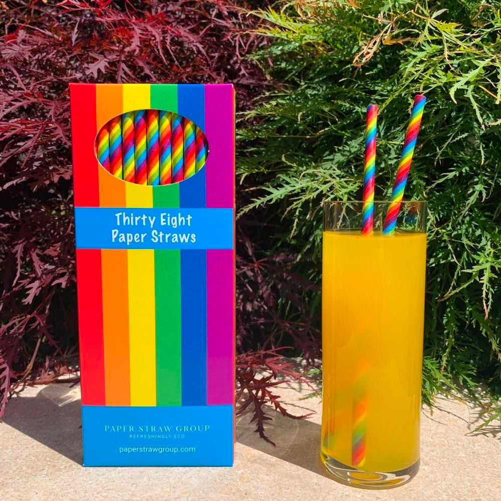 Gay Pride rainbow Paper Straws (Box of 38 Straws)