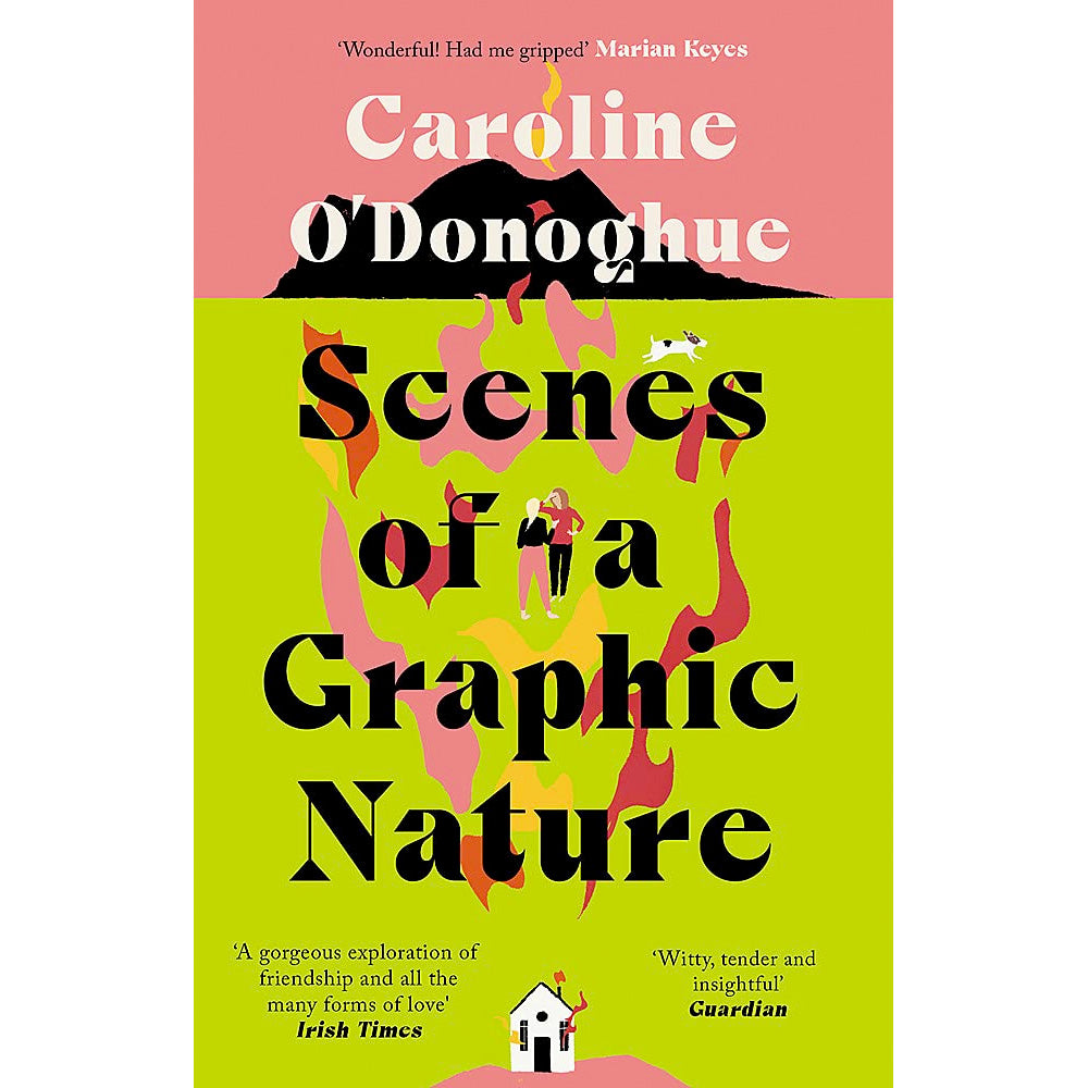 Scenes of a Graphic Nature Book