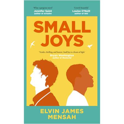 Small Joys Book Elvin James Mensah