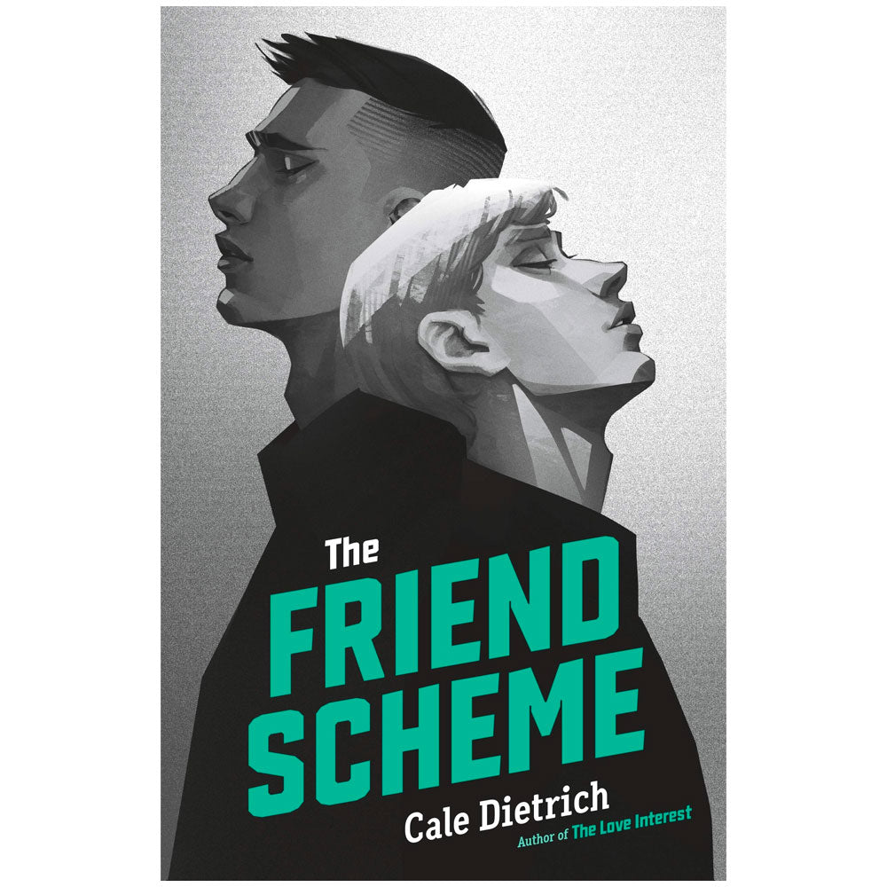 The Friend Scheme Book (Paperback)