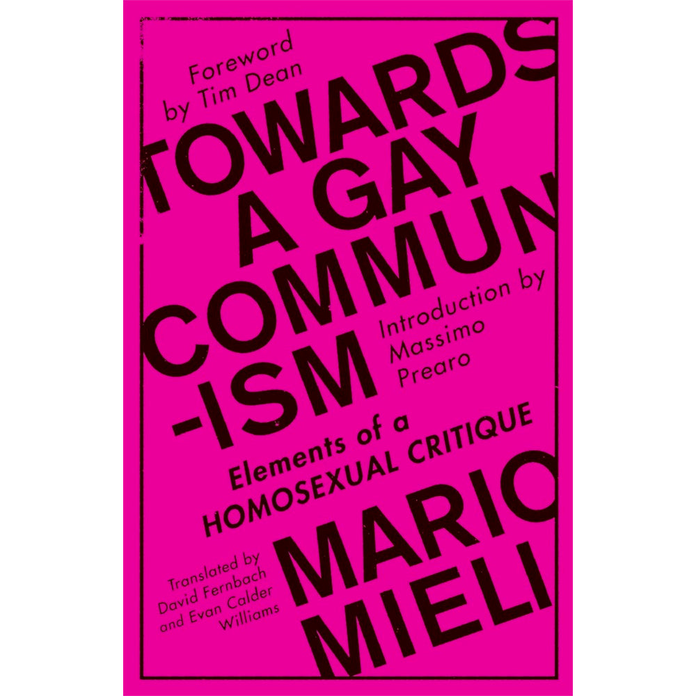 Towards a Gay Communism - Elements of a Homosexual Critique Book