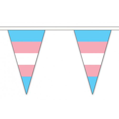 Transgender Flag Cloth Bunting Small (20m x 54 flags)