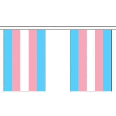 Transgender Pride Flag Bunting Small (3m x 10 flags)