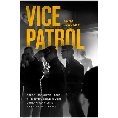 Vice Patrol - Cops, Courts and the Struggle Over Urban Gay Life Before Stonewall Book